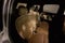 2019 MINI Countryman Cooper S