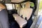 2026 Jeep Wrangler 4-Door Willys '41