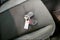 2026 Jeep Wrangler 4-Door Sport RHD 4x4