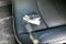 2026 RAM Ram 3500 RAM 3500 LIMITED CREW CAB 4X4 8' BOX