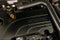 2025 GMC Terrain FWD Elevation